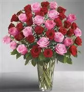 1-800-Flowers® Ultimate Elegance™ 4 Dozen Long Stem Pink and