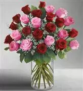 1-800-Flowers® Ultimate Elegance™ 2 Dozen Long Stem Pink and
