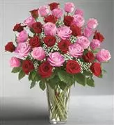 1-800-Flowers® Ultimate Elegance™ 3 Dozen Long Stem Pink and