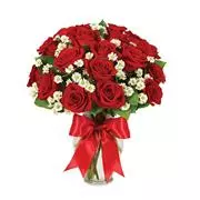 2 Dozen Roses - Red